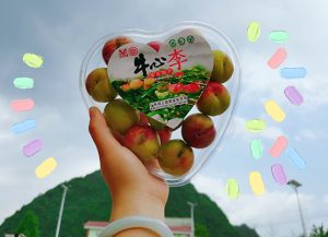 全国律师网站怎么挑？装修佬踩坑后给你聊聊免费法律咨询那些事